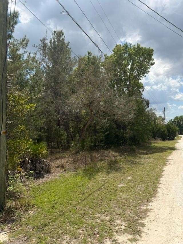 1 Acre of Residential Land for Sale in Weeki Wachee, Florida