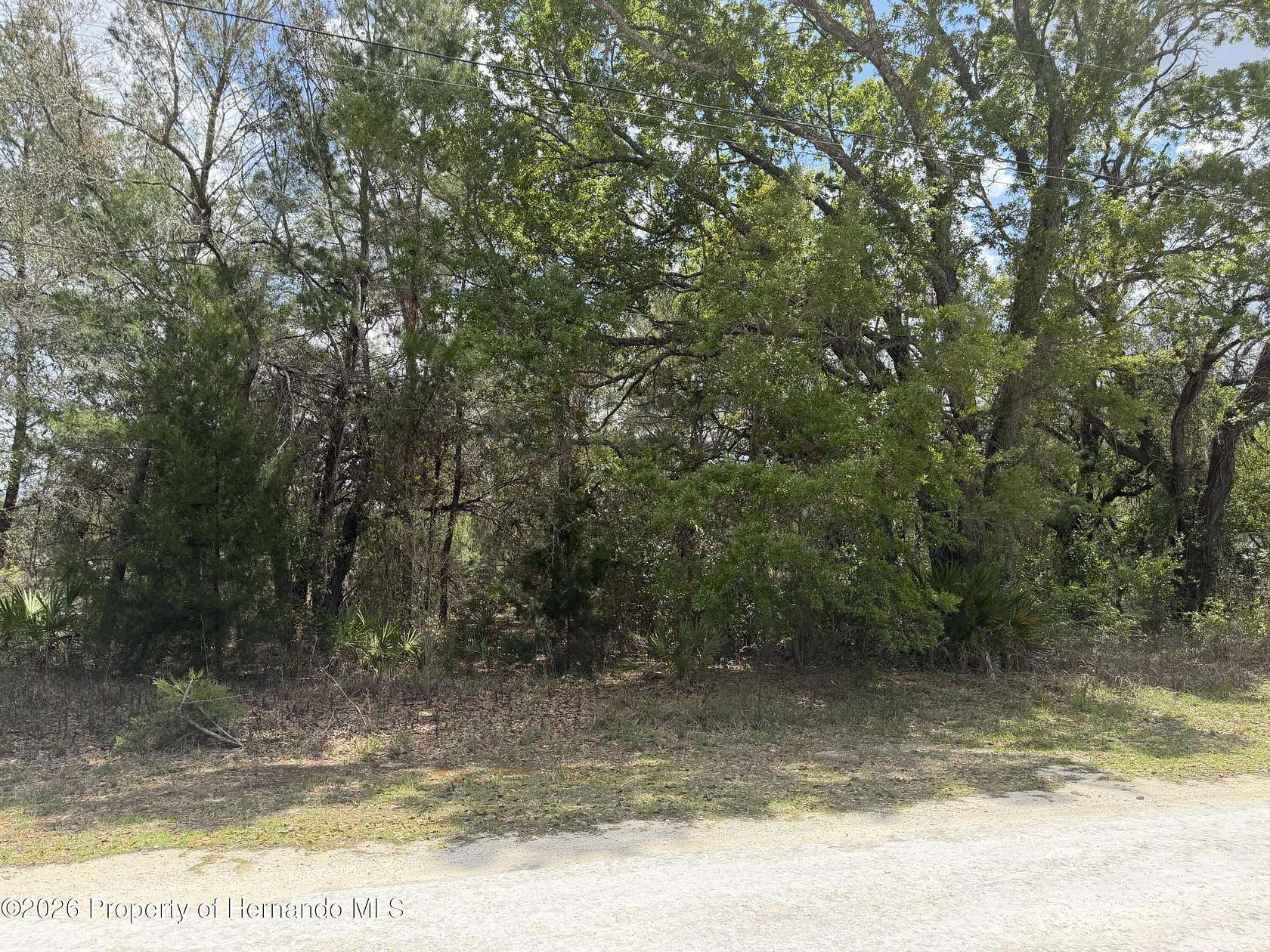 1 Acre of Residential Land for Sale in Weeki Wachee, Florida