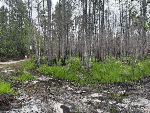 1.27 Acres of Land for Sale in St. Cloud, Florida