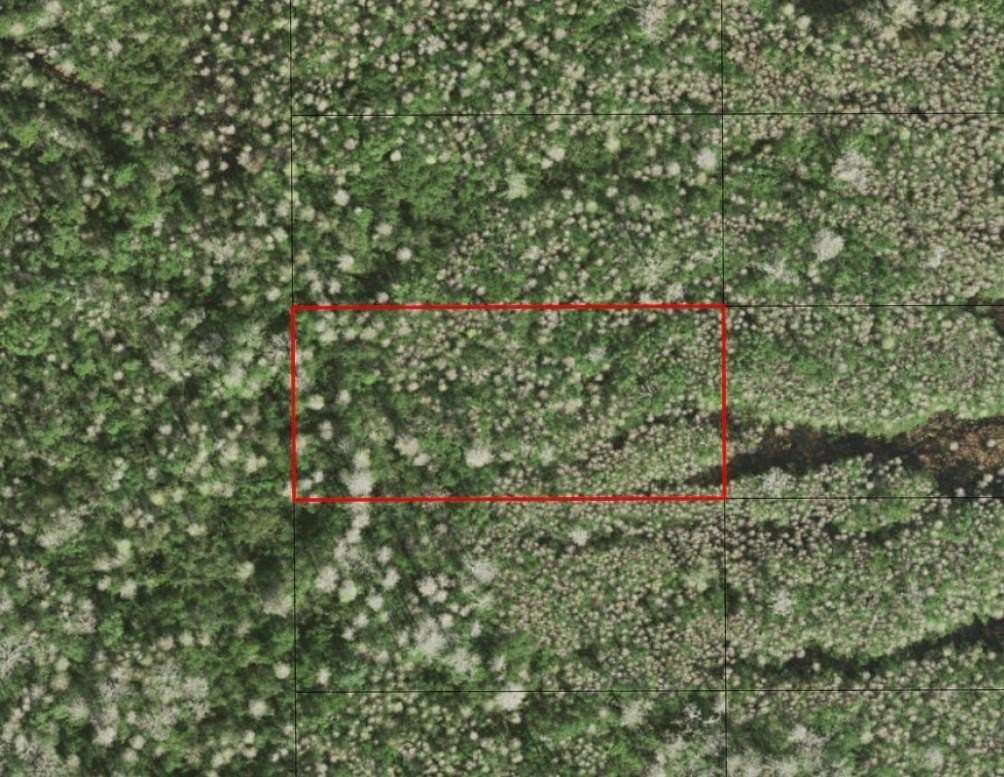 1.26 Acres of Land for Sale in St. Cloud, Florida