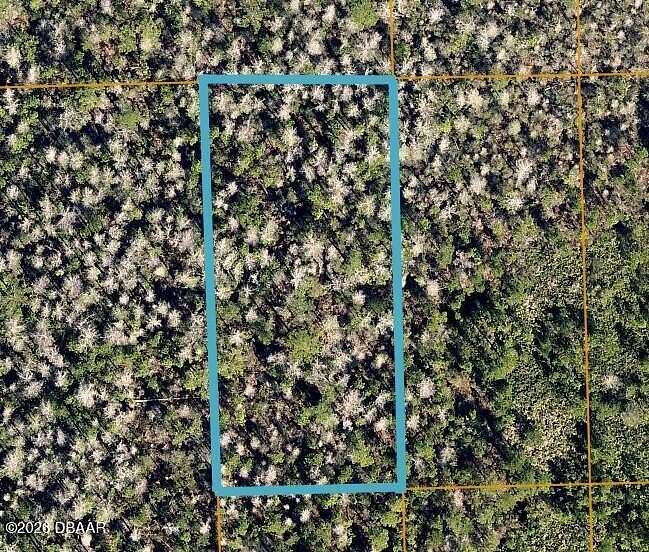 1.25 Acres of Residential Land for Sale in Lake Helen, Florida