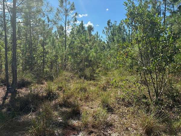 5.1 Acres of Land for Sale in St. Cloud, Florida