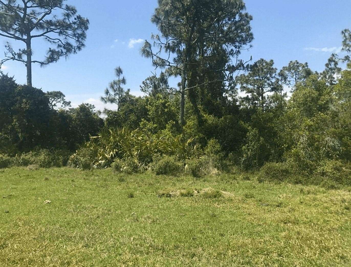5 Acres of Land for Sale in St. Cloud, Florida