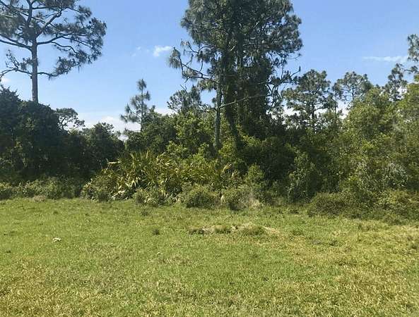 5 Acres of Land for Sale in St. Cloud, Florida