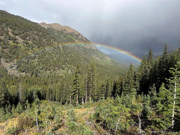 114 Acres of Recreational & Residential Land for Sale in Buena Vista, Colorado