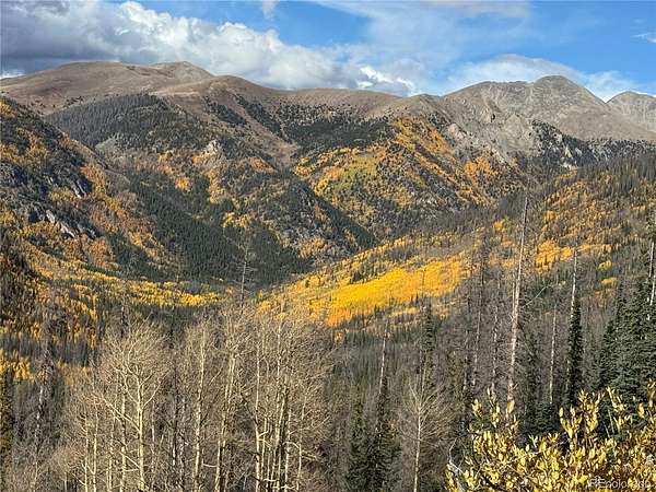 114 Acres of Recreational & Residential Land for Sale in Buena Vista, Colorado