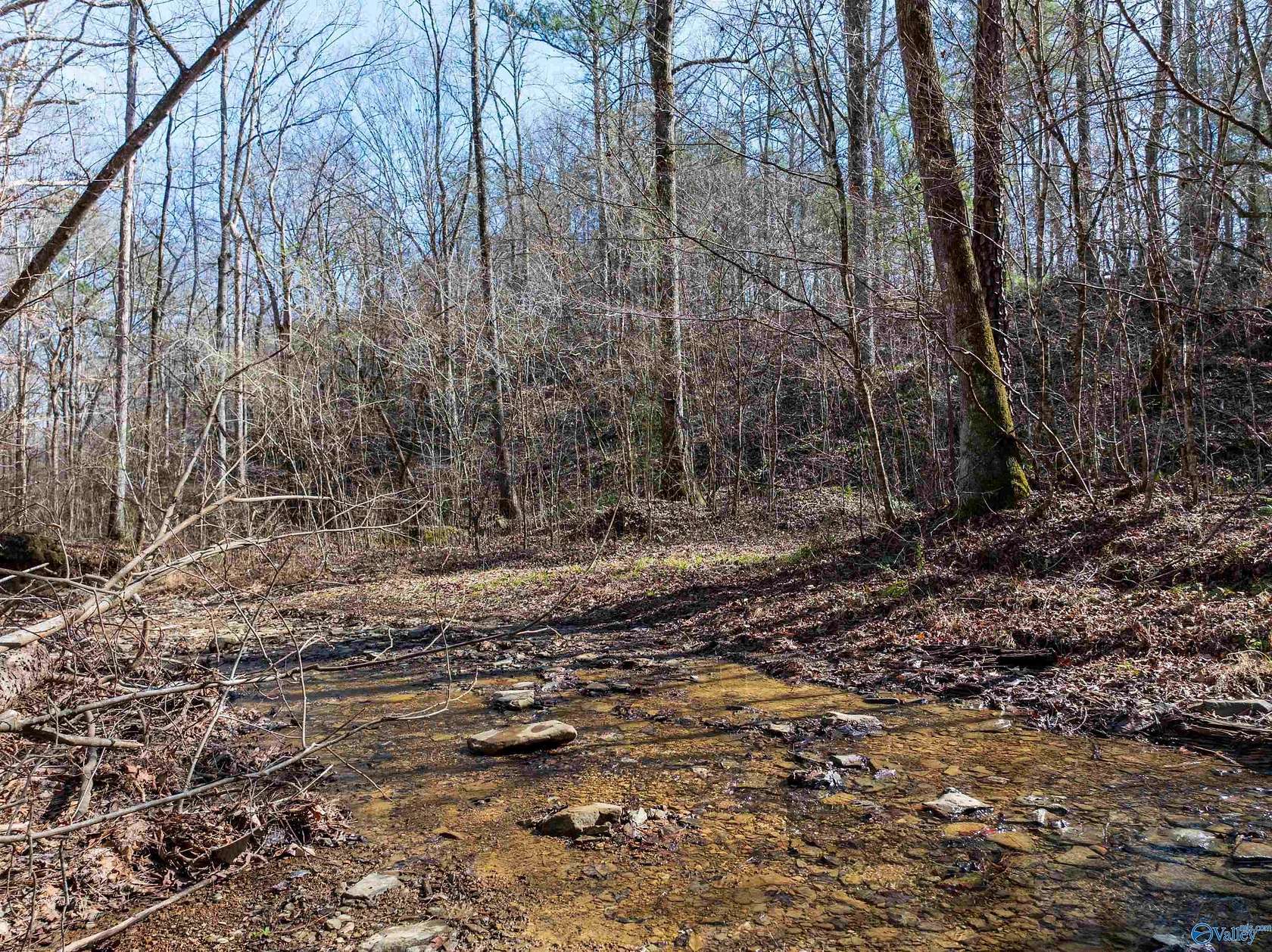 40 Acres of Recreational Land for Sale in Oakman, Alabama