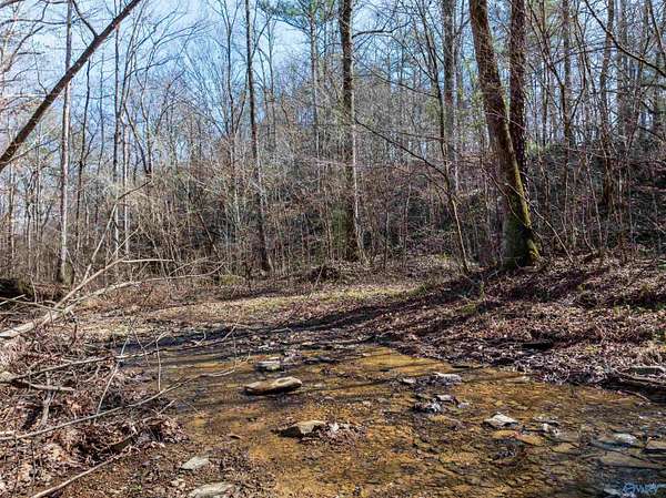 40 Acres of Recreational Land for Sale in Oakman, Alabama