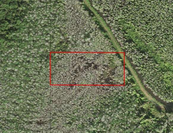 1.26 Acres of Land for Sale in St. Cloud, Florida