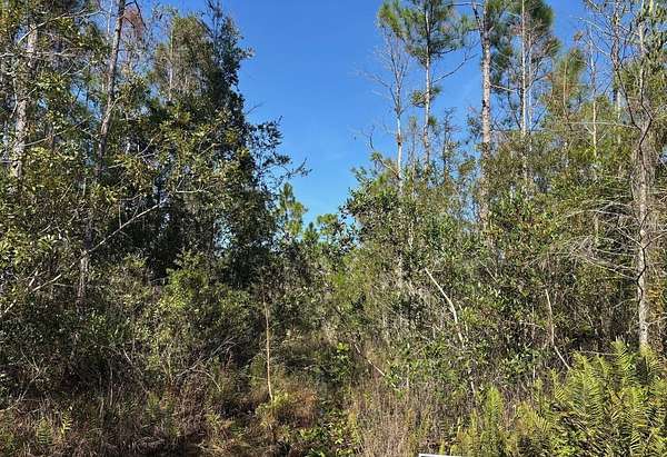2.54 Acres of Land for Sale in St. Cloud, Florida