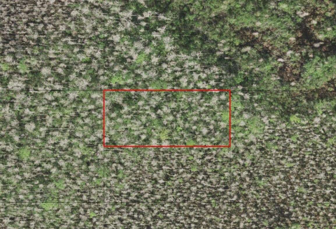 0.32 Acres of Land for Sale in St. Cloud, Florida
