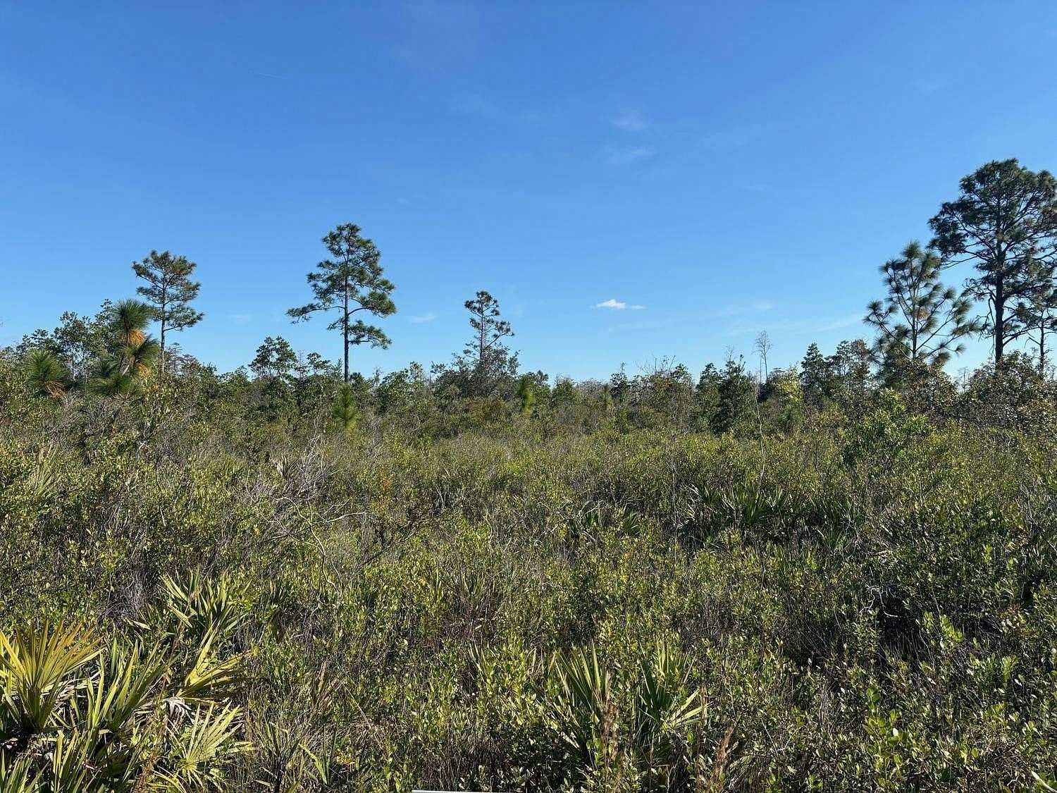 1.27 Acres of Land for Sale in St. Cloud, Florida