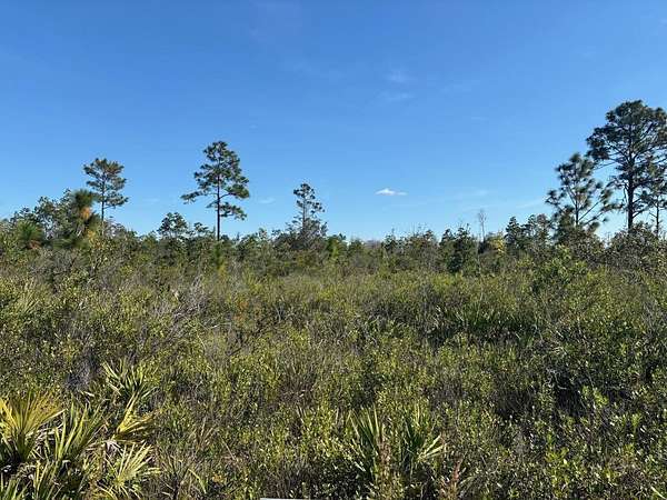 1.27 Acres of Land for Sale in St. Cloud, Florida