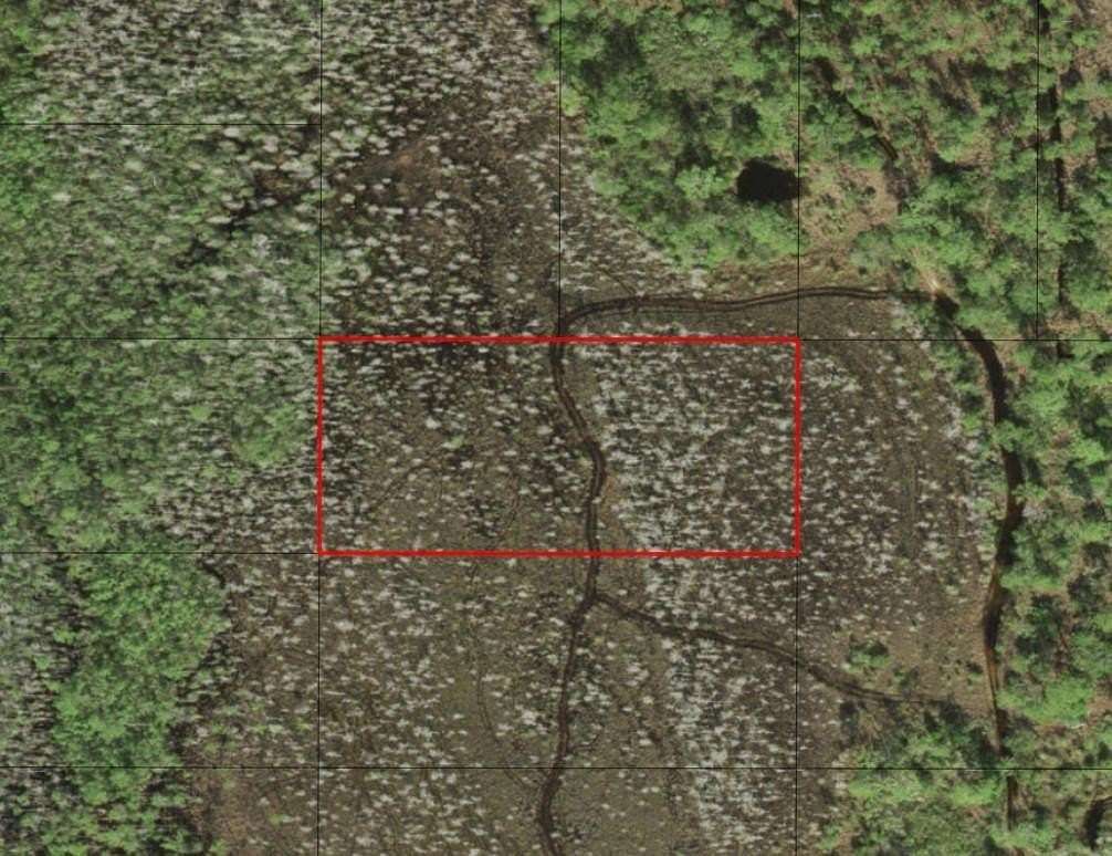 1.26 Acres of Land for Sale in St. Cloud, Florida
