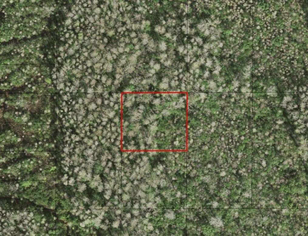 0.68 Acres of Land for Sale in St. Cloud, Florida