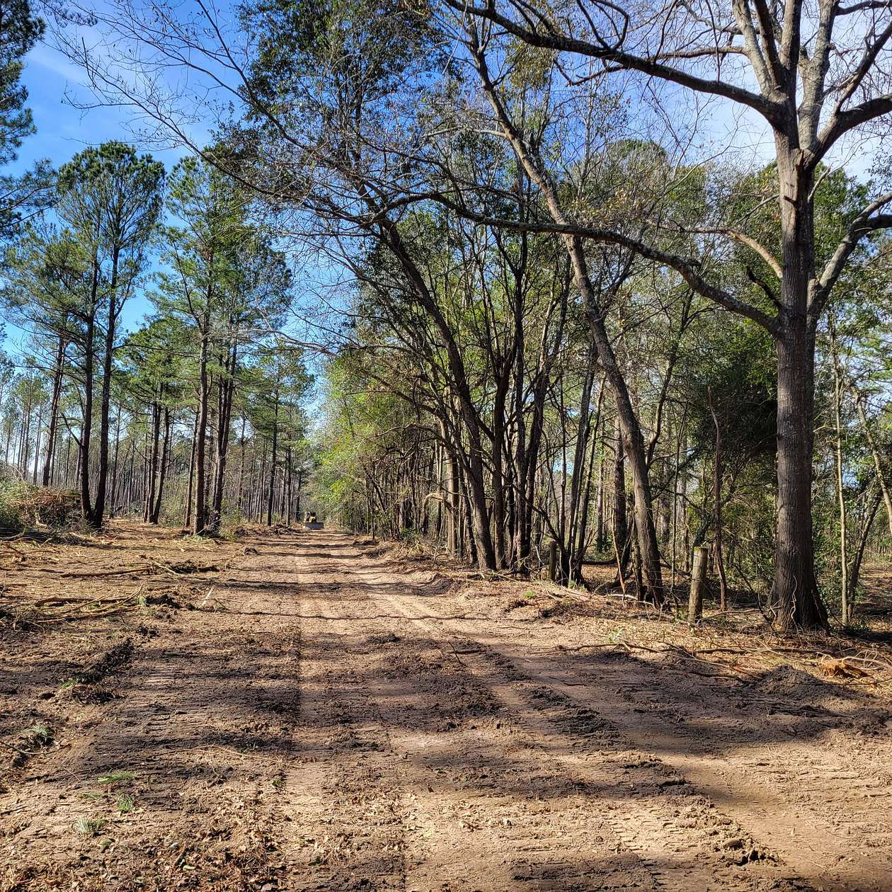 68.5 Acres of Land for Sale in Hephzibah, Georgia