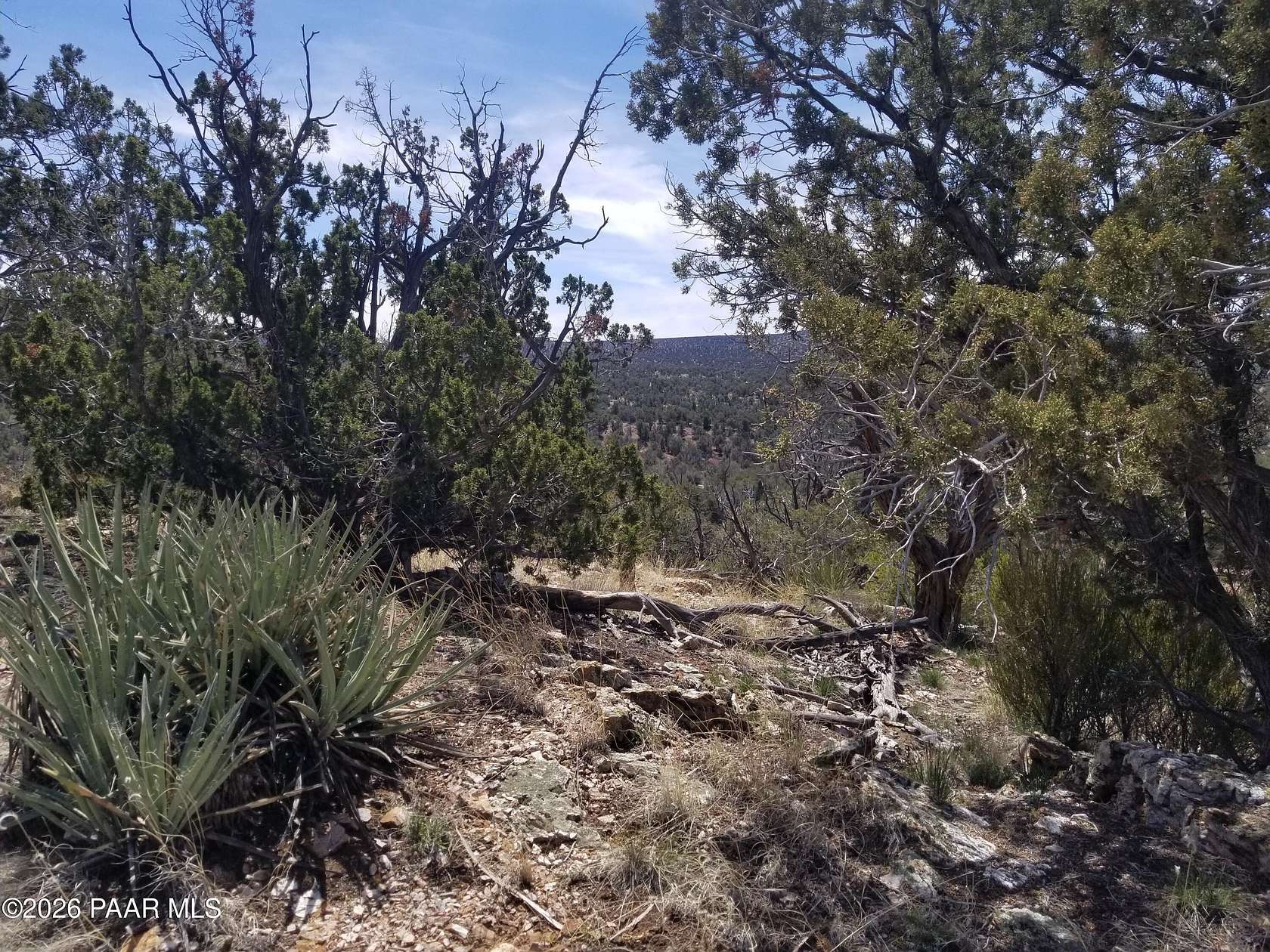 40 Acres of Land for Sale in Ash Fork, Arizona
