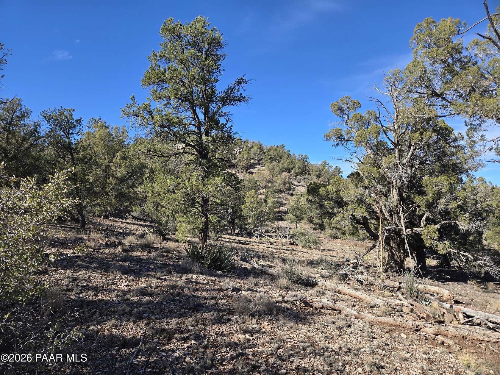 40 Acres of Recreational Land for Sale in Ash Fork, Arizona