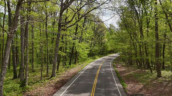 15.6 Acres of Land for Sale in Franklin, Tennessee
