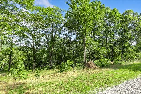1 Acre of Residential Land for Sale in Harrison, Arkansas