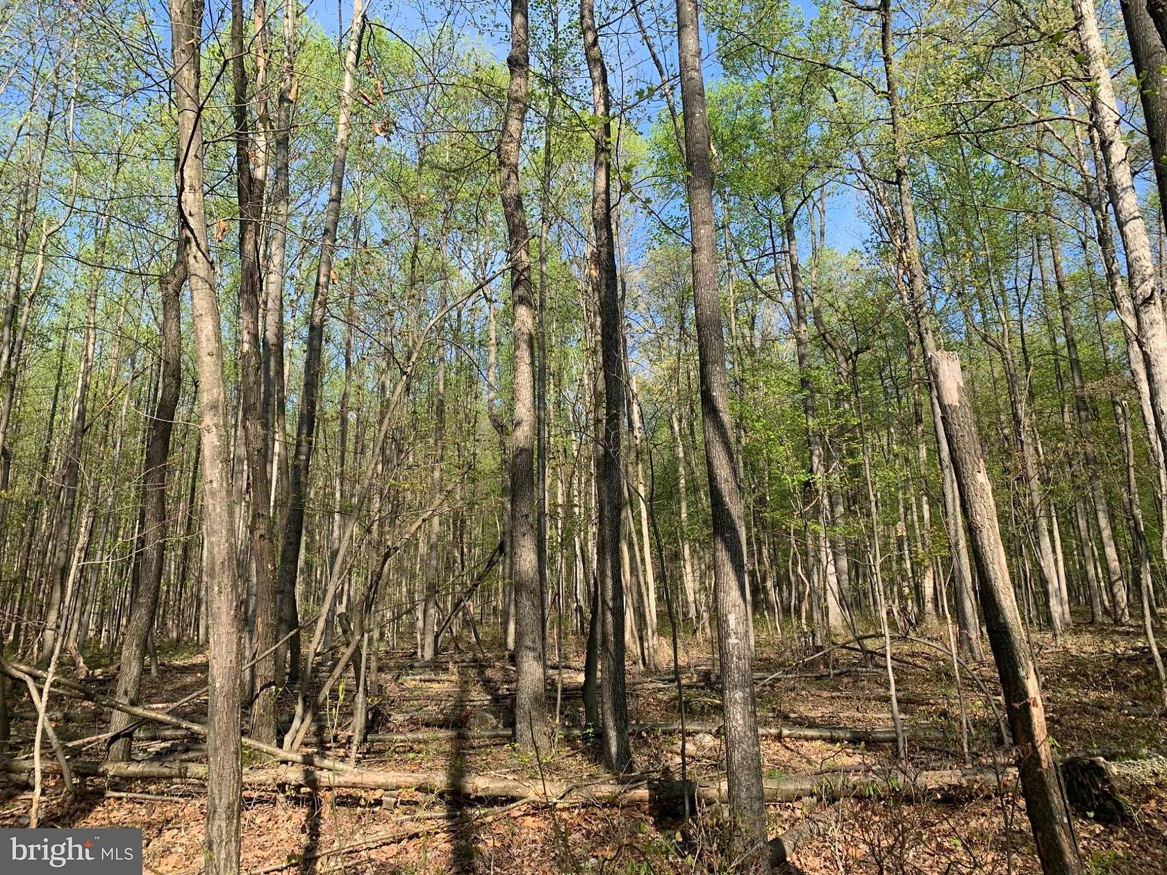 6.3 Acres of Residential Land for Sale in Needmore, Pennsylvania