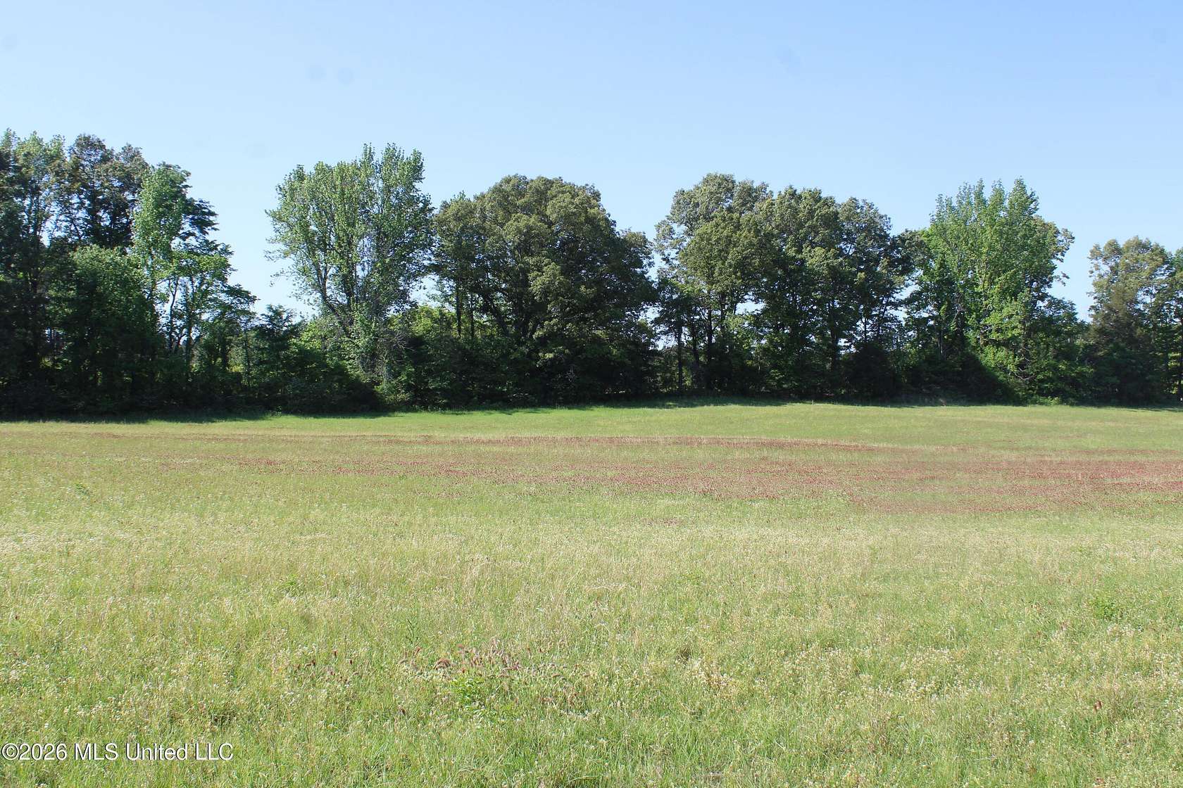 1.63 Acres of Residential Land for Sale in Lake Cormorant, Mississippi
