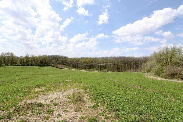 18.4 Acres of Agricultural Land for Sale in Angola, Indiana