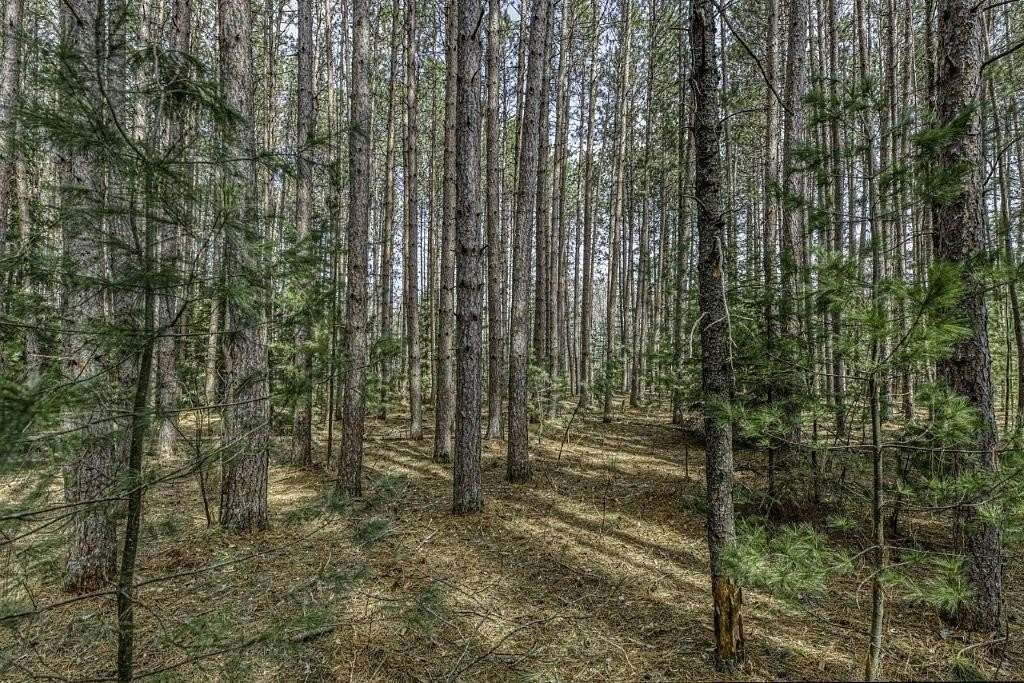 1.52 Acres of Residential Land for Sale in Minocqua, Wisconsin