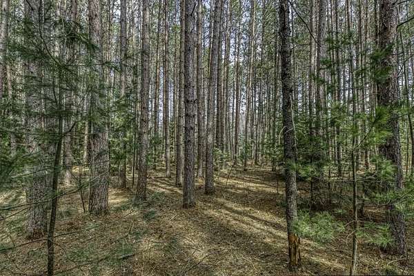1.52 Acres of Residential Land for Sale in Minocqua, Wisconsin