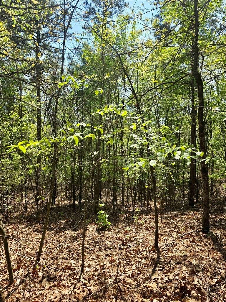 10 Acres of Recreational & Residential Land for Sale in Clarksville, Arkansas