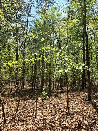 10 Acres of Recreational & Residential Land for Sale in Clarksville, Arkansas