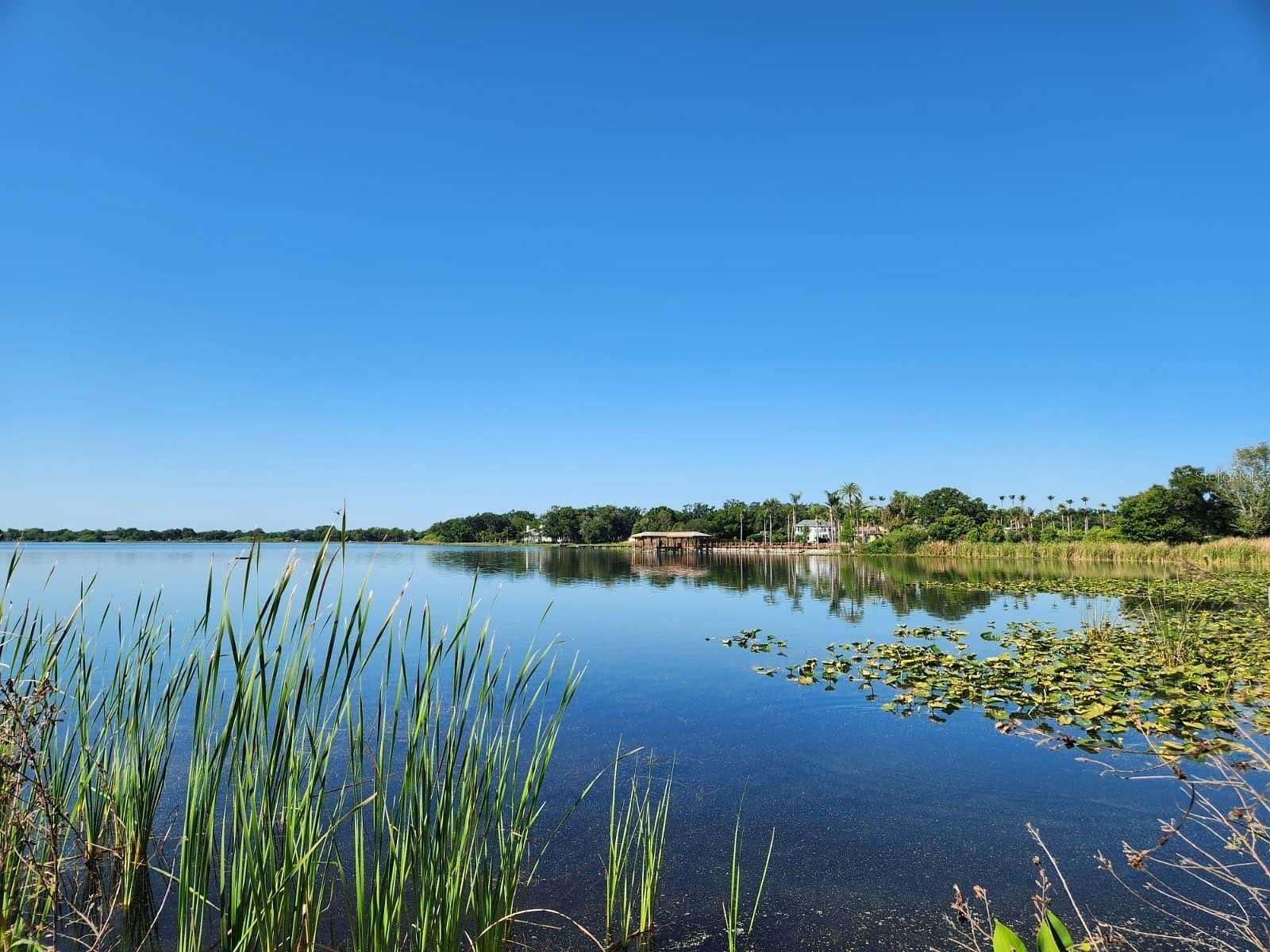 7.43 Acres of Residential Land for Sale in Orlando, Florida