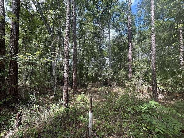 0.18 Acres of Residential Land for Sale in New Port Richey, Florida