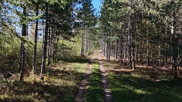 55 Acres of Recreational Land for Sale in Spooner, Wisconsin
