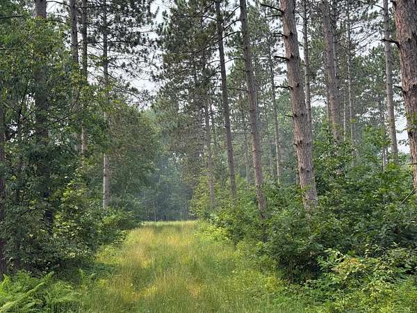 55 Acres of Recreational Land for Sale in Spooner, Wisconsin