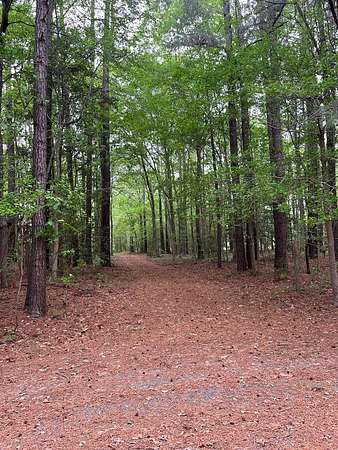 3 Acres of Land for Sale in Melfa, Virginia