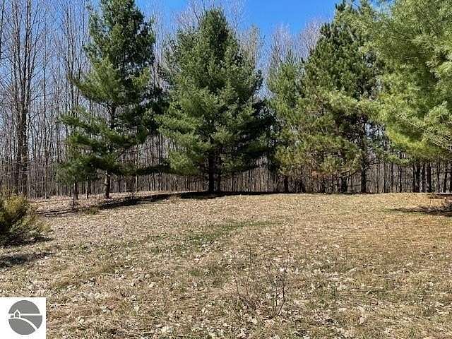12.3 Acres of Recreational & Residential Land for Sale in Bellaire, Michigan
