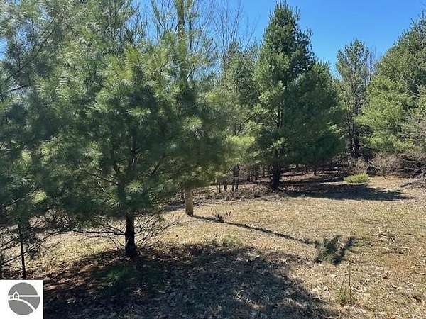 13.2 Acres of Recreational & Residential Land for Sale in Bellaire, Michigan