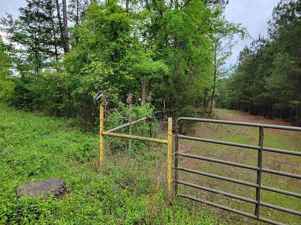 7 Acres of Land for Sale in Jerusalem, Arkansas