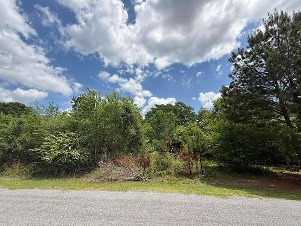 3 Acres of Residential Land for Sale in Ashville, Alabama