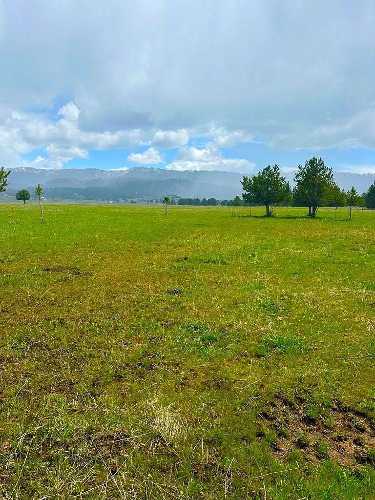 16.2 Acres of Recreational & Residential Land for Sale in Cascade, Idaho