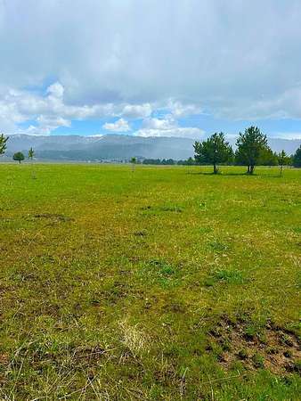 16.2 Acres of Recreational & Residential Land for Sale in Cascade, Idaho