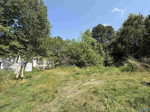5 Acres of Residential Land for Sale in Baileyton, Alabama