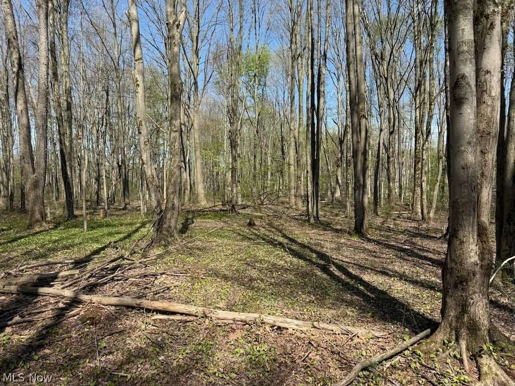 6.78 Acres of Residential Land for Sale in Jefferson, Ohio