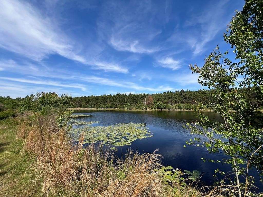 102 Acres of Recreational & Residential Land for Sale in Fitzgerald, Georgia