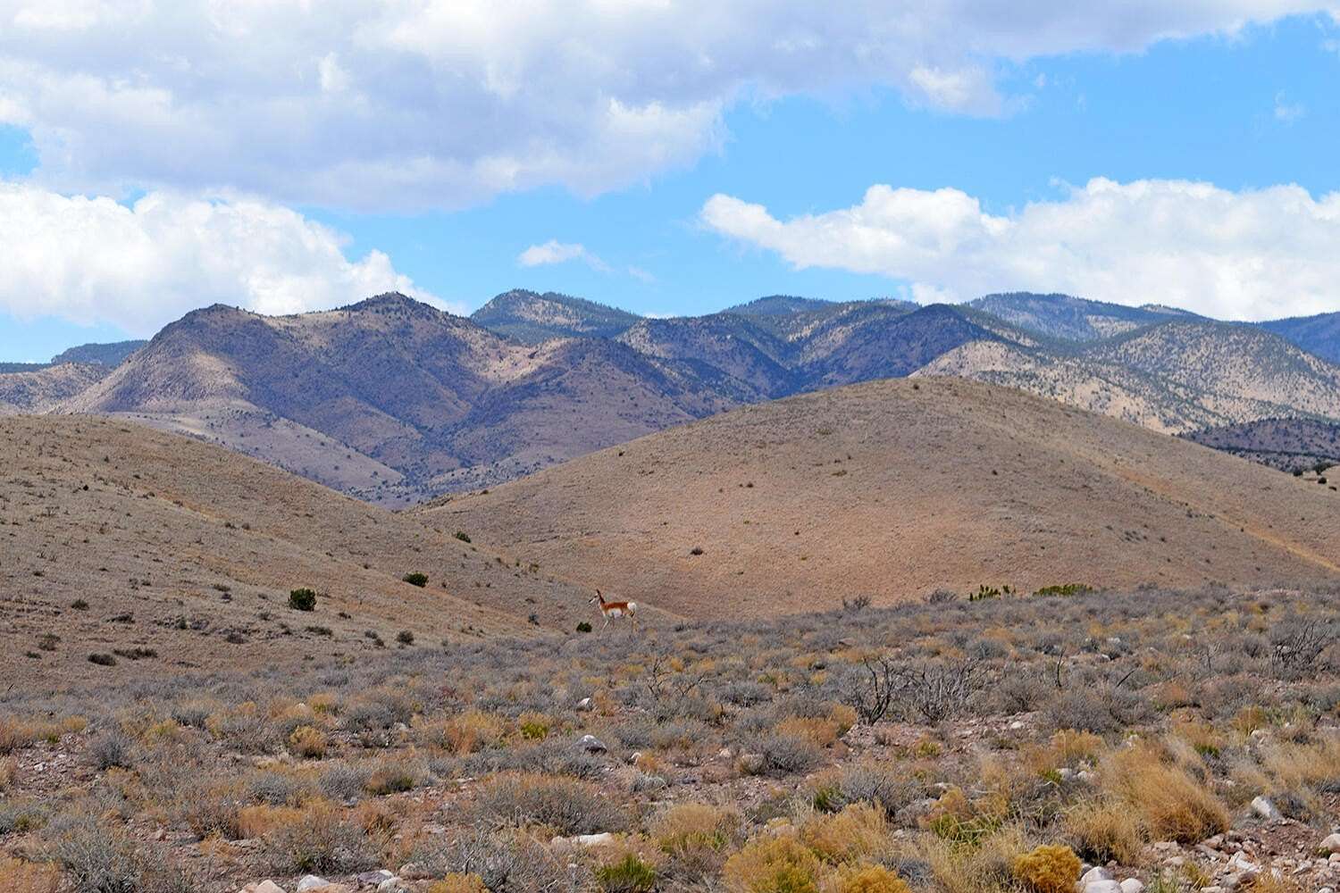 21.1 Acres of Recreational & Residential Land for Sale in San Antonio, New Mexico