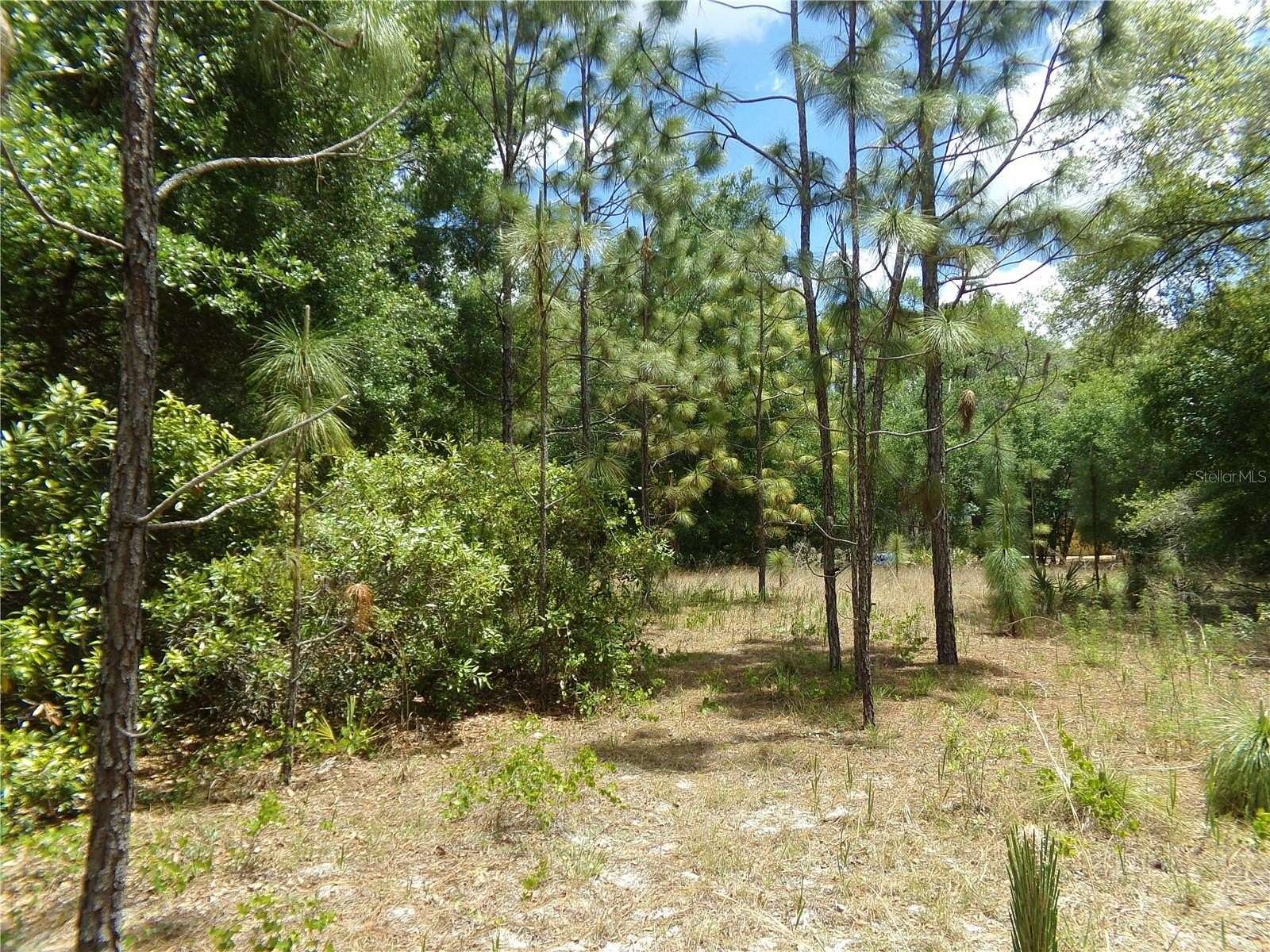 0.95 Acres of Residential Land for Sale in Webster, Florida