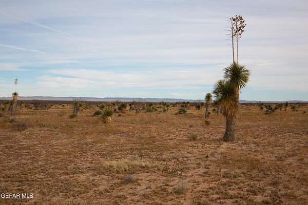 20 Acres of Recreational & Residential Land for Sale in Sierra Blanca, Texas