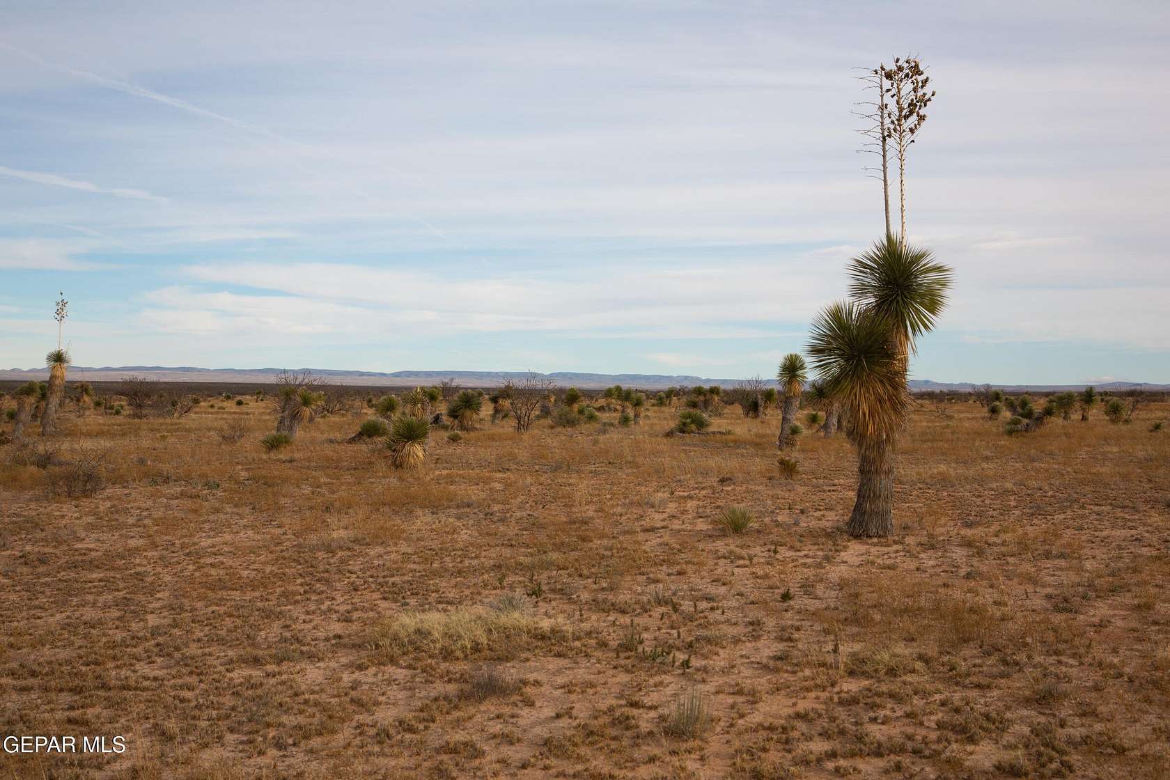 20 Acres of Recreational & Residential Land for Sale in Sierra Blanca, Texas