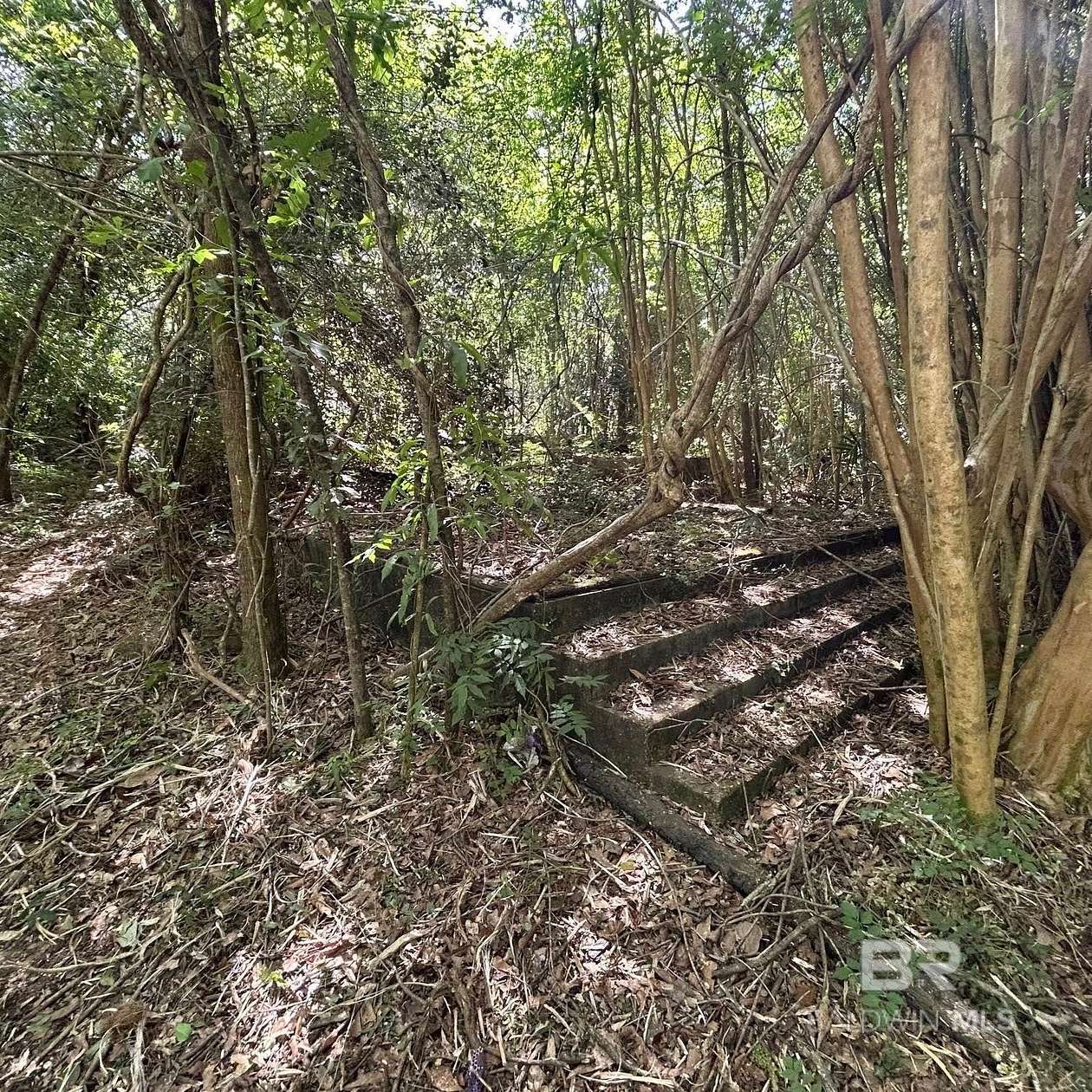 10 Acres of Recreational & Residential Land for Sale in Robertsdale, Alabama